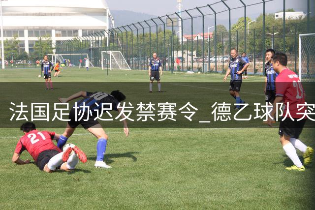法国足协迟发禁赛令 德乙球队突失主力边卫